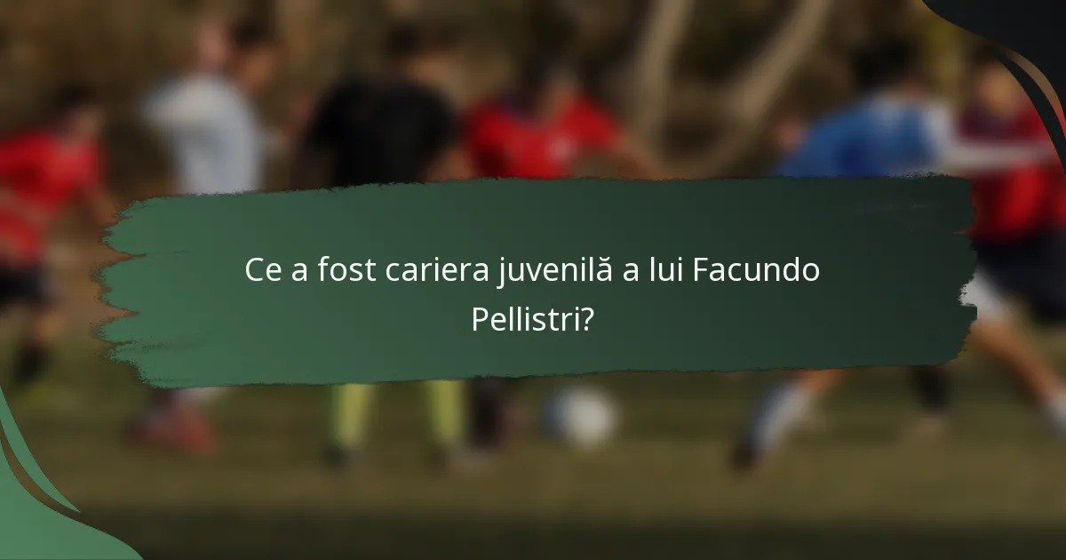 Ce a fost cariera juvenilă a lui Facundo Pellistri?