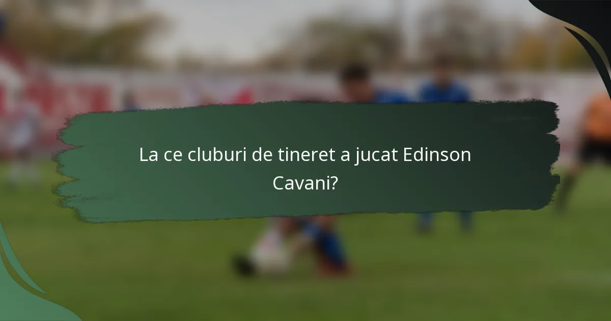 La ce cluburi de tineret a jucat Edinson Cavani?